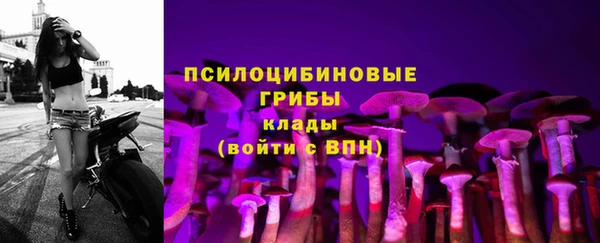 гашик Горнозаводск