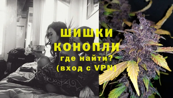 гашик Горнозаводск