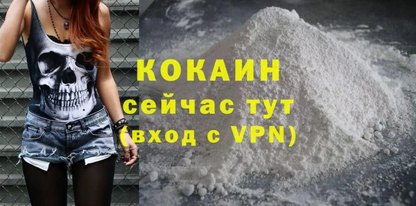 PSILOCYBIN Вязники